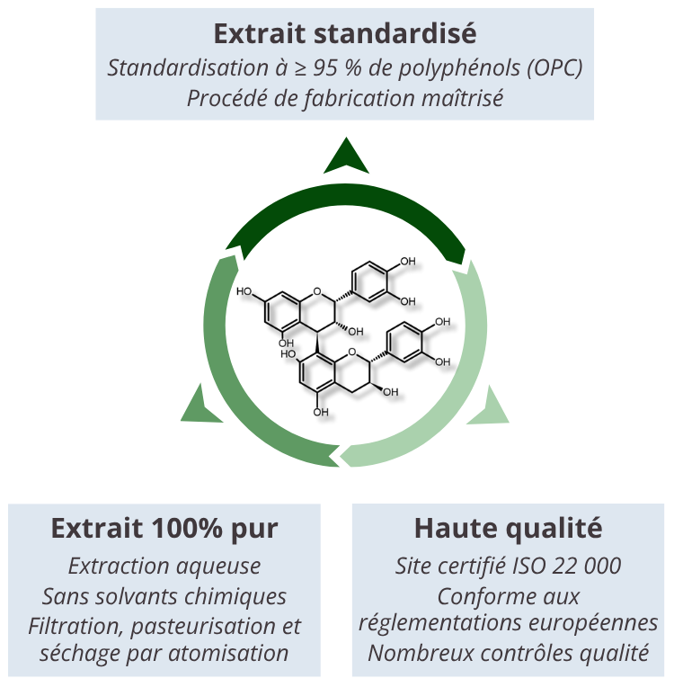 Extrait de pépins de raisin (Vitis vinifera L.) : Un concentré premium de polyphénols d’origine française